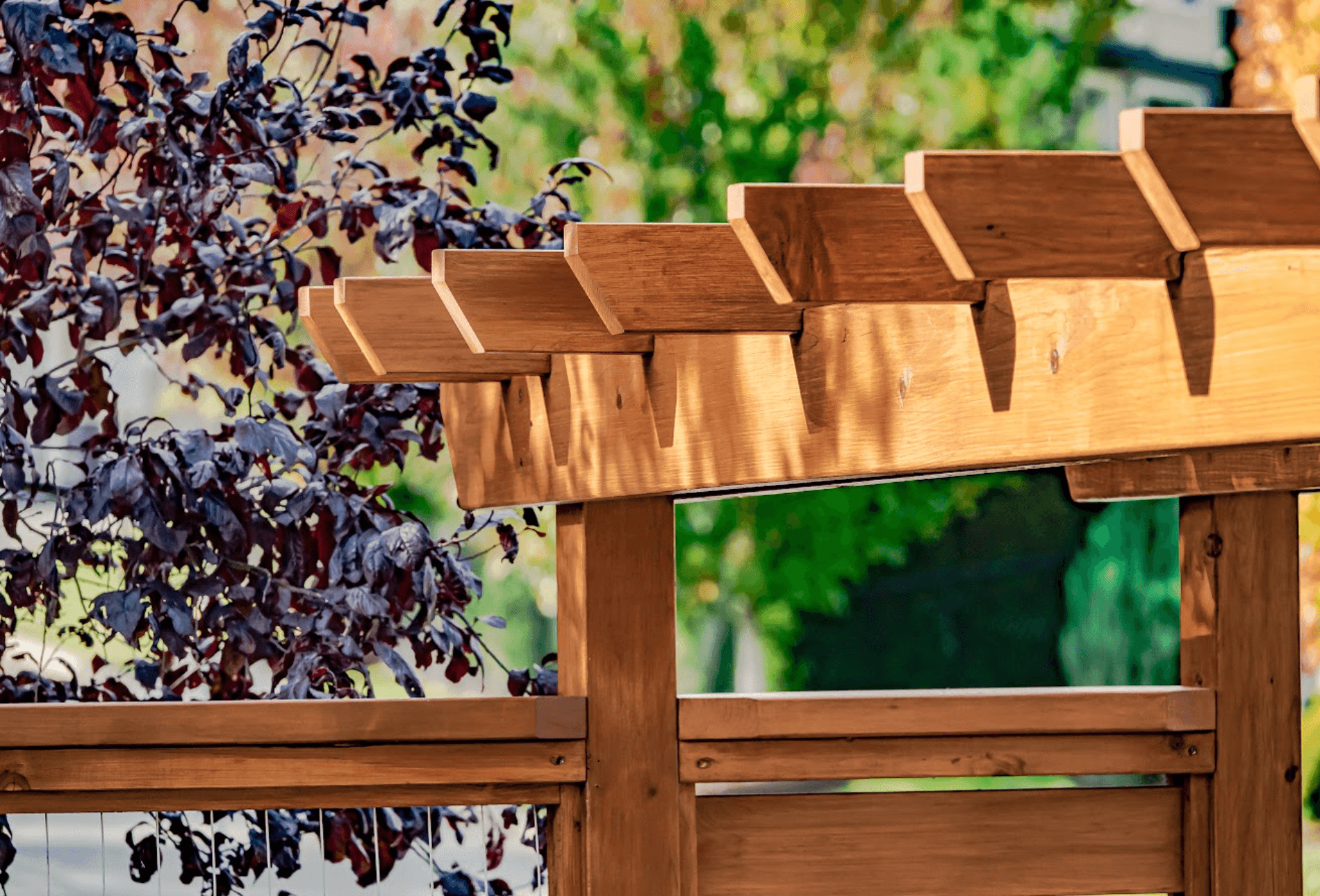 Pergolas & Arbors featured image